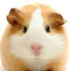 Meet your Posher, Eugene